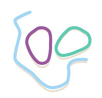 Loops