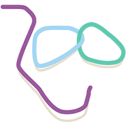 Loops