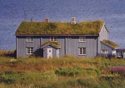 Green roof on house in Norway