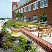 University of North Carolina has added green roofs 