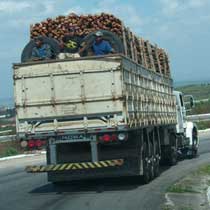 Cargo should be secured in trucks