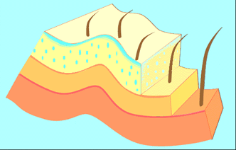 wet_skin wet_skin