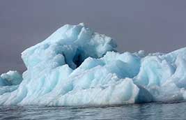 Some icebergs show blue areas and white areas.
