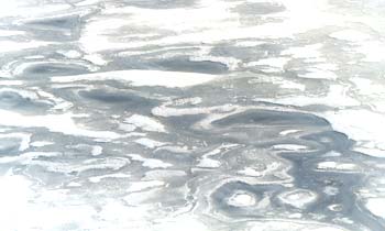 Ice floes